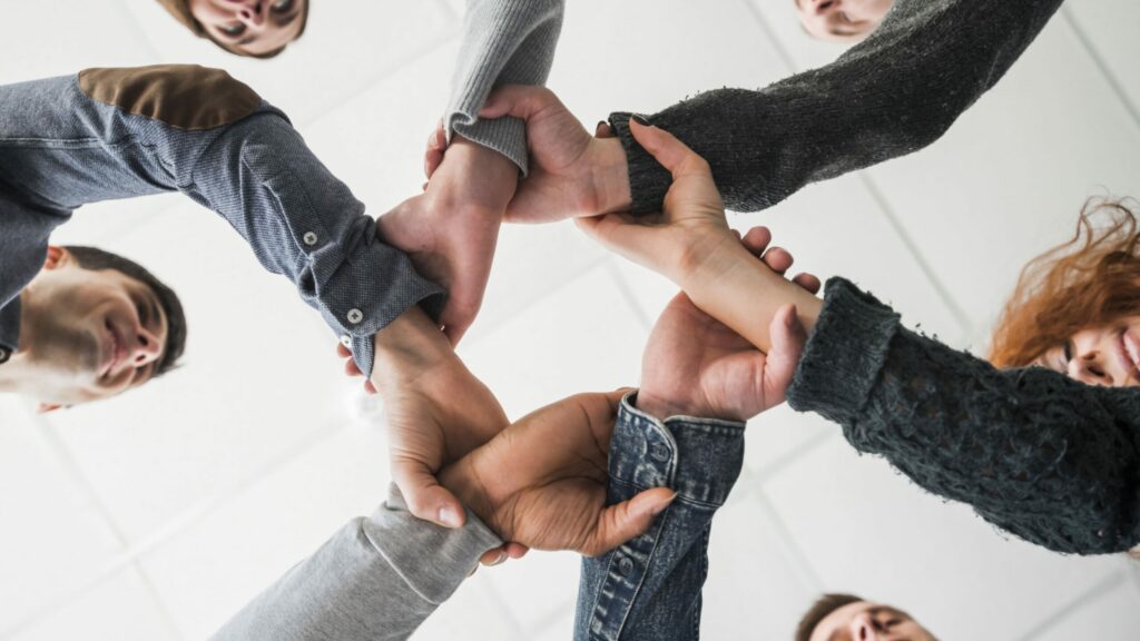 équicoaching | équiformation | formation facilitée par le cheval | management | cohésion d'équipe | dynamique d'équipe