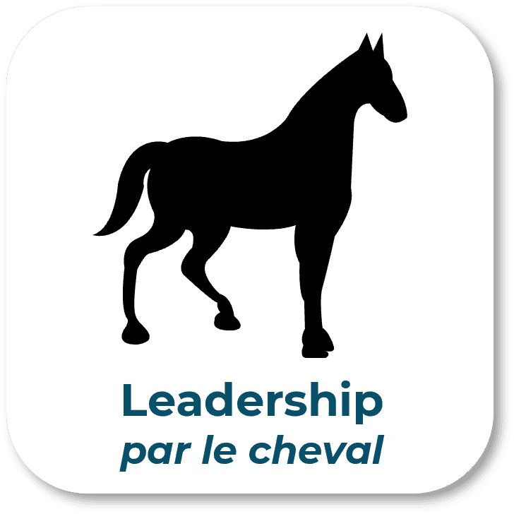 équicoaching | équiformation | formation facilitée par le cheval | management | leadership